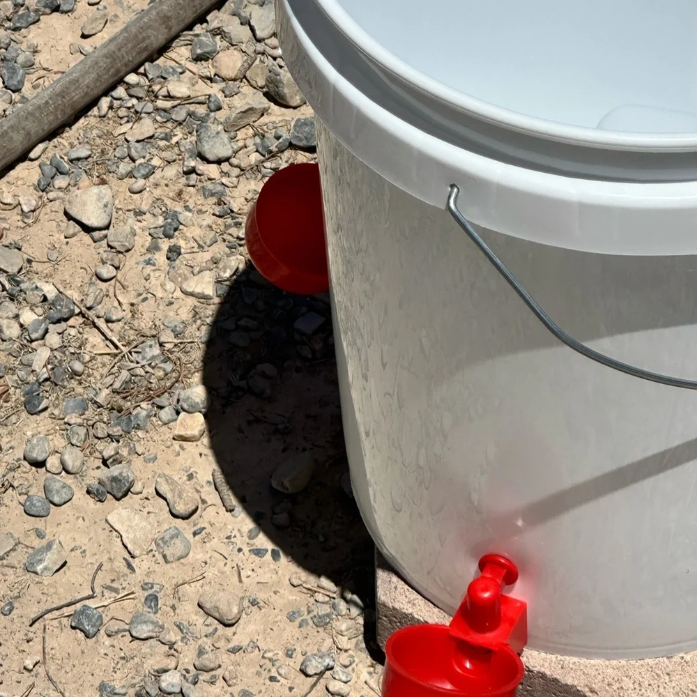 Automatic water feeder
